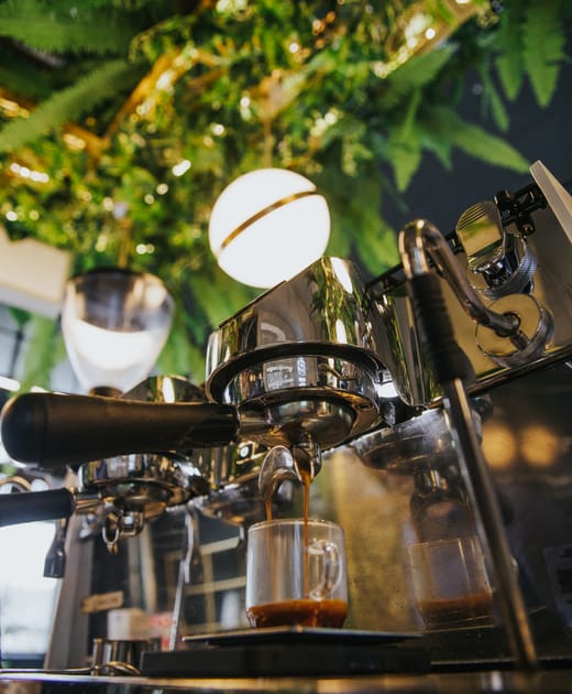 Typhoon Coffee photo 5