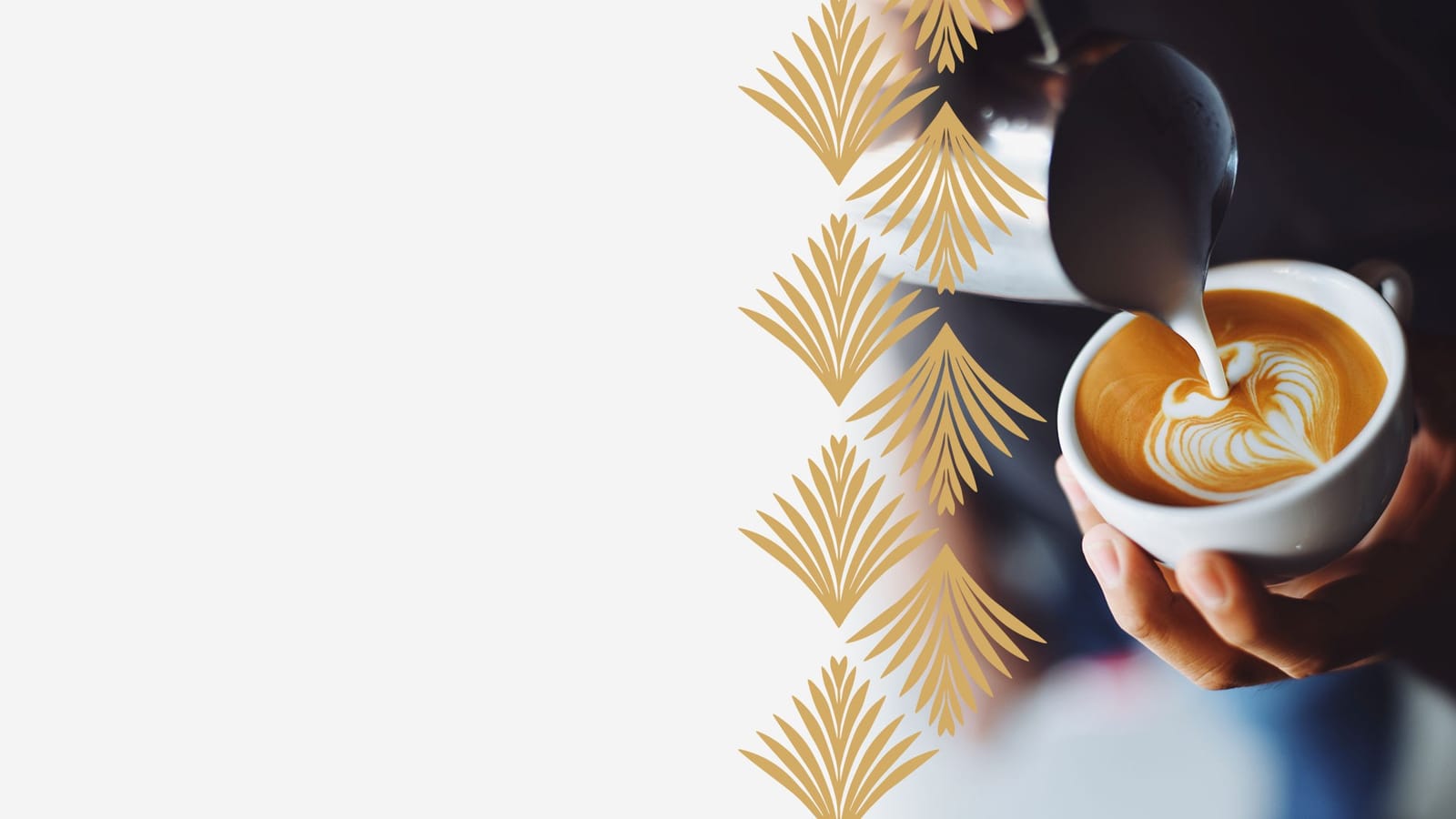 Typhoon Coffee