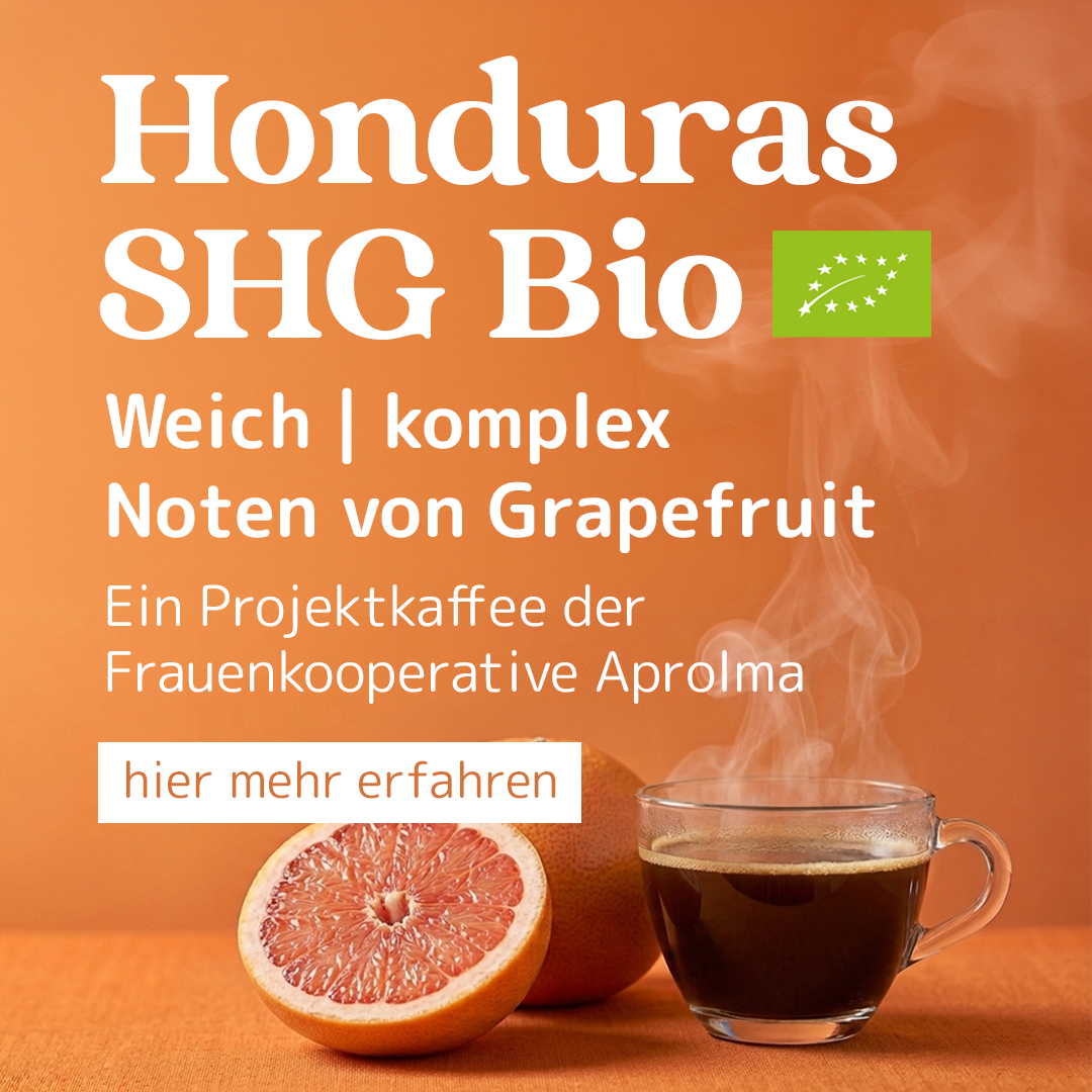 Helder & Leeuwen - Kaffeeroester photo 3