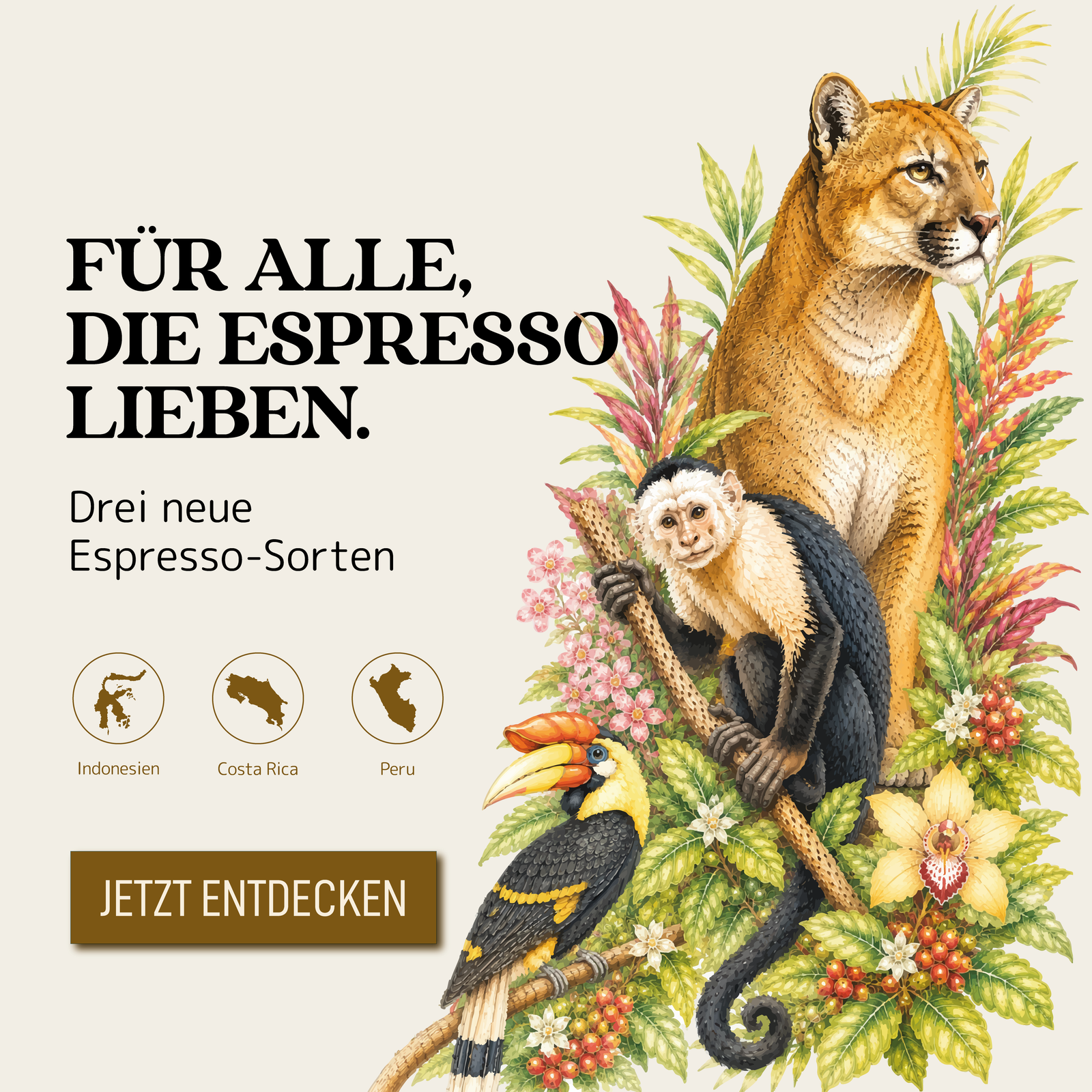 Helder & Leeuwen - Kaffeeroester