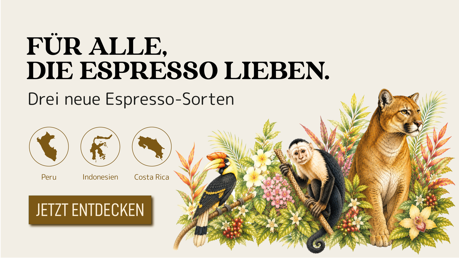 Helder & Leeuwen - Kaffeeroester photo 2
