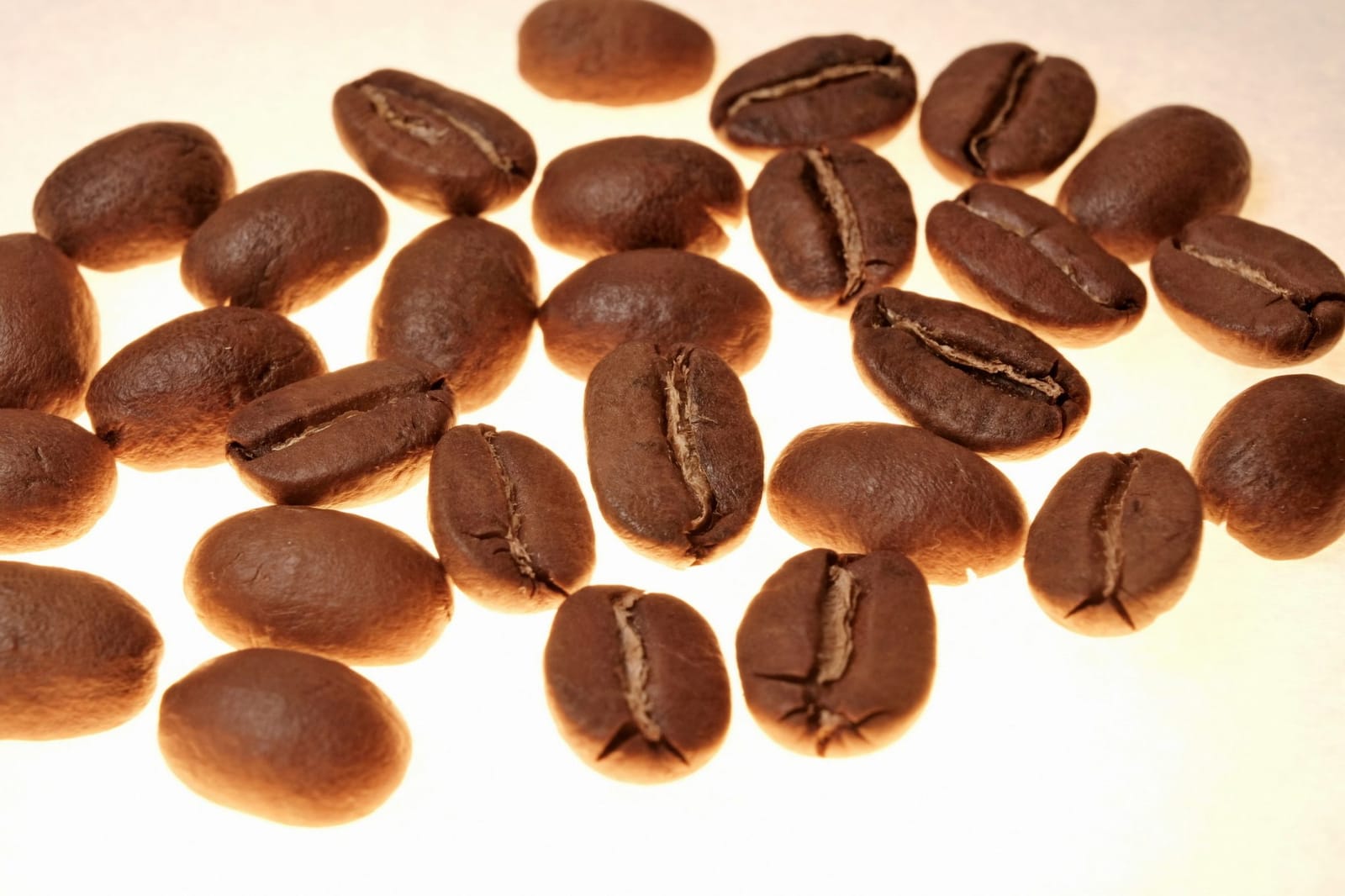 Kaffeerösterei Röstrausch photo 7