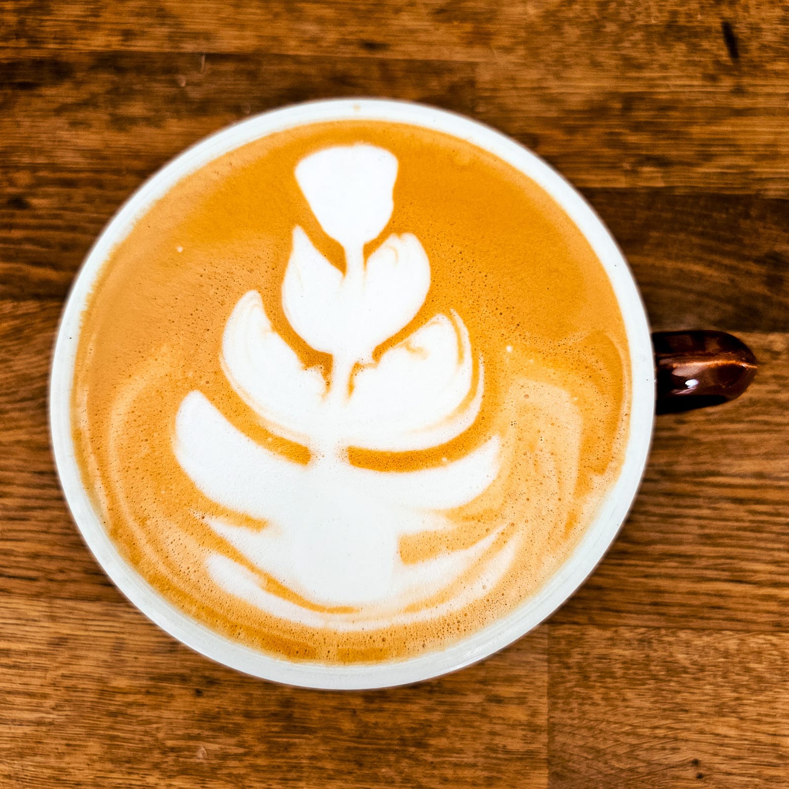 Kaffeerösterei Röstrausch