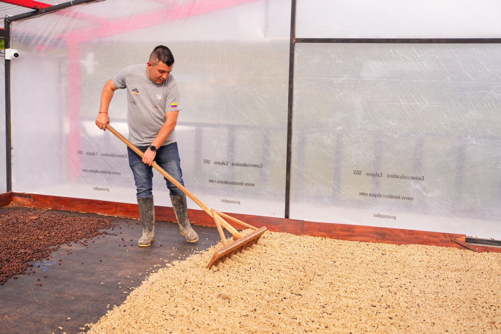 Phoenix Coffee Roasters