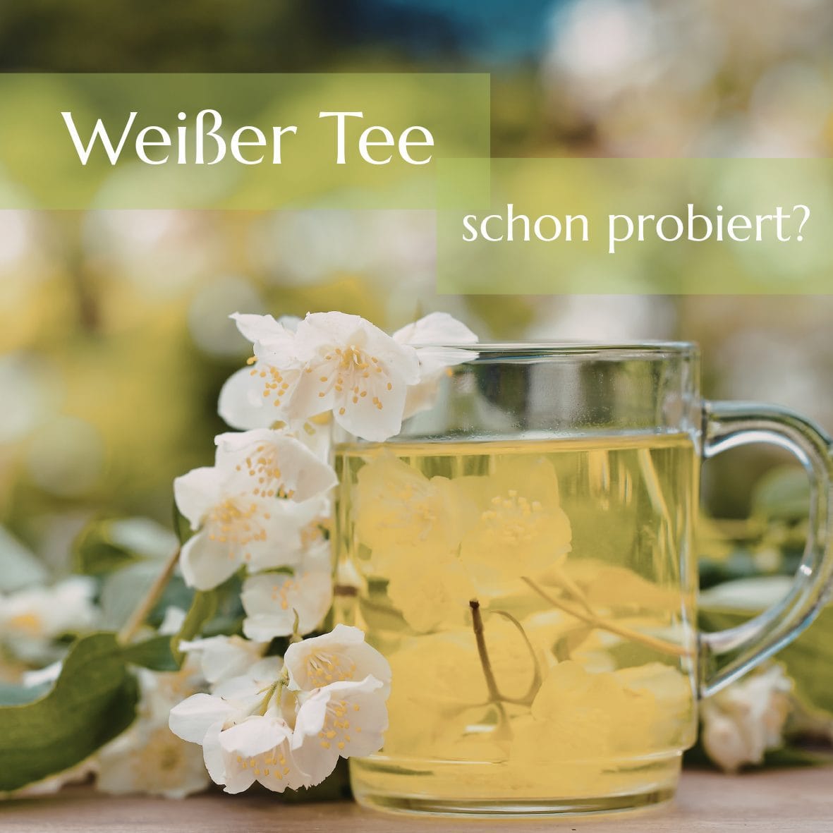 Genuss-Welt Richter