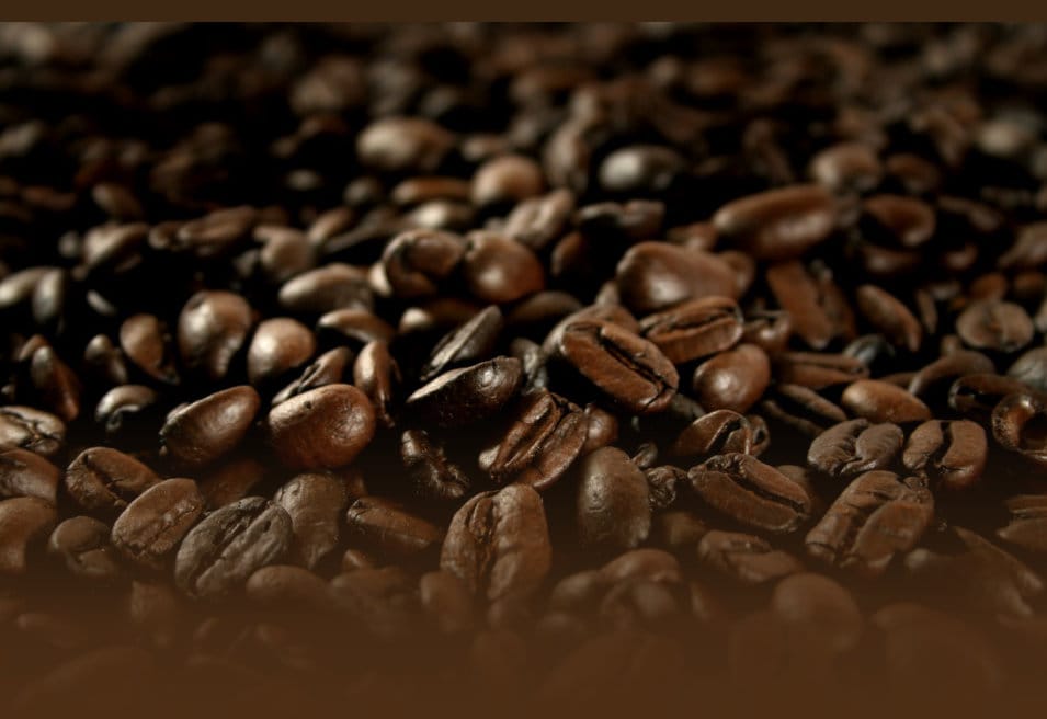 Kaffee Scheune - Kaffee Rösterei
