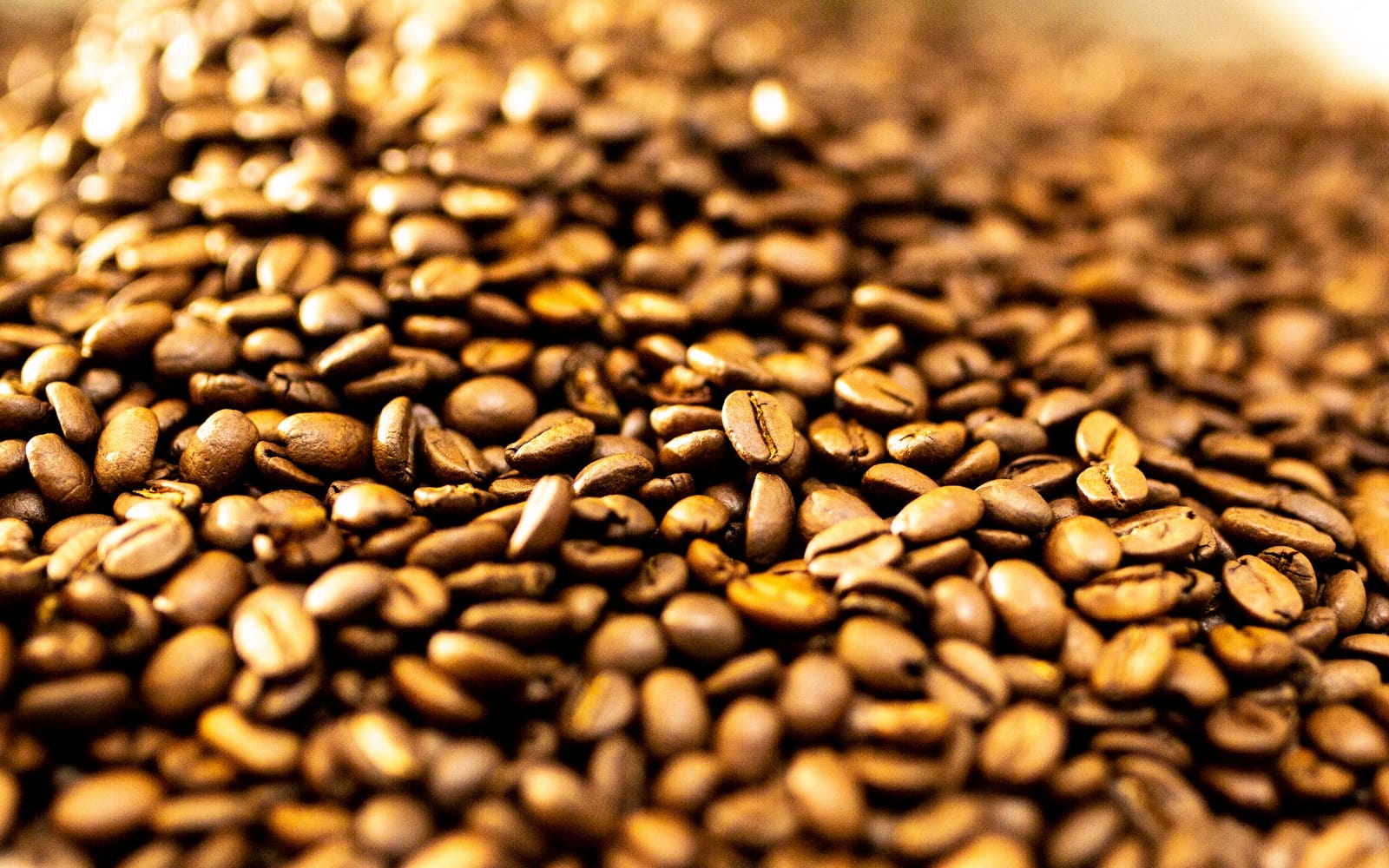 Kaffeerösterei Alber