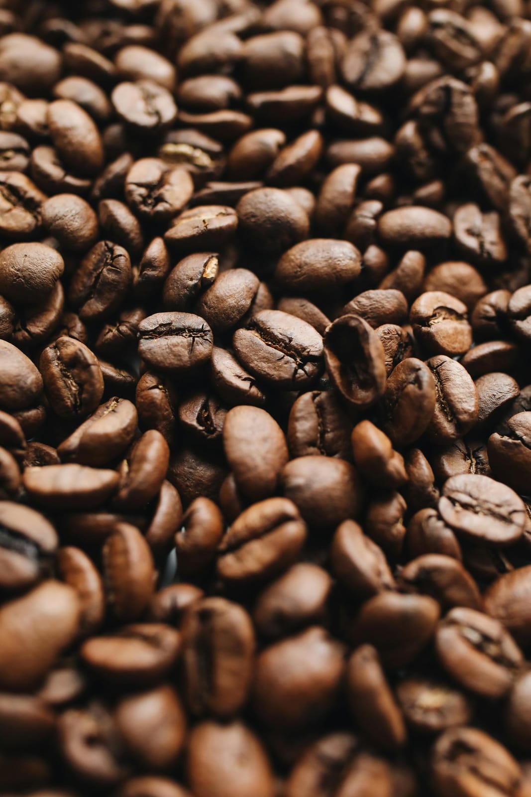 Kaffeerösterei Rechenauer