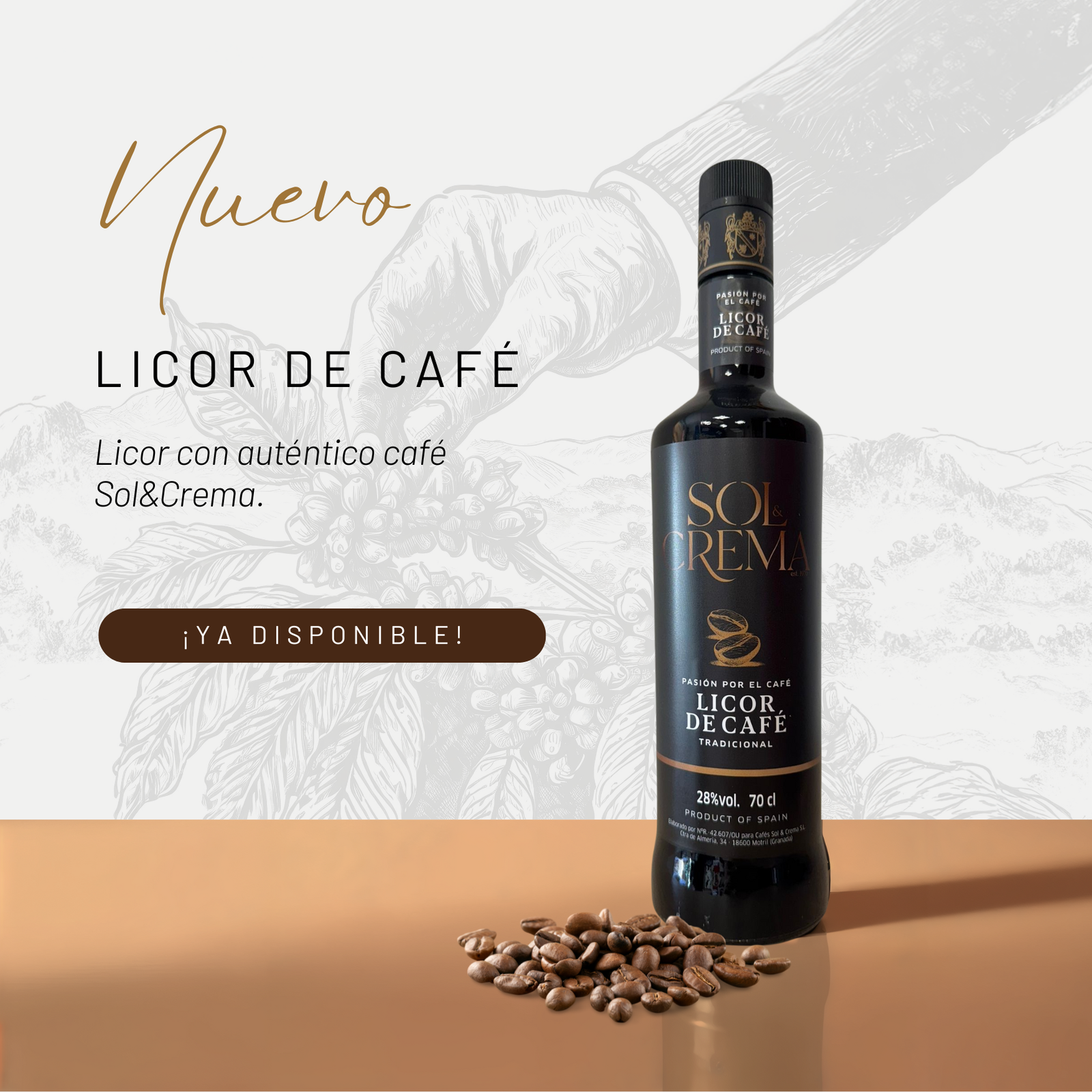 Cafés Sol&Crema