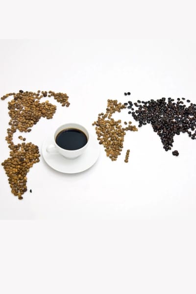 Café Montetoro photo 3