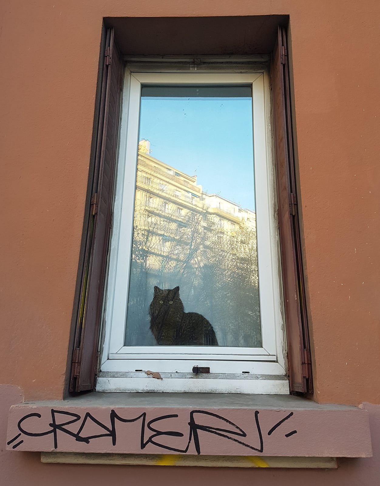 Au grain de café photo 3