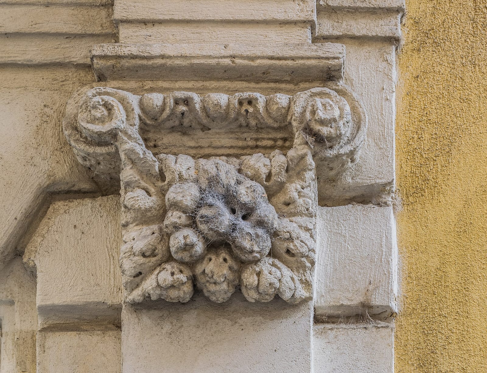 Noailles photo 2
