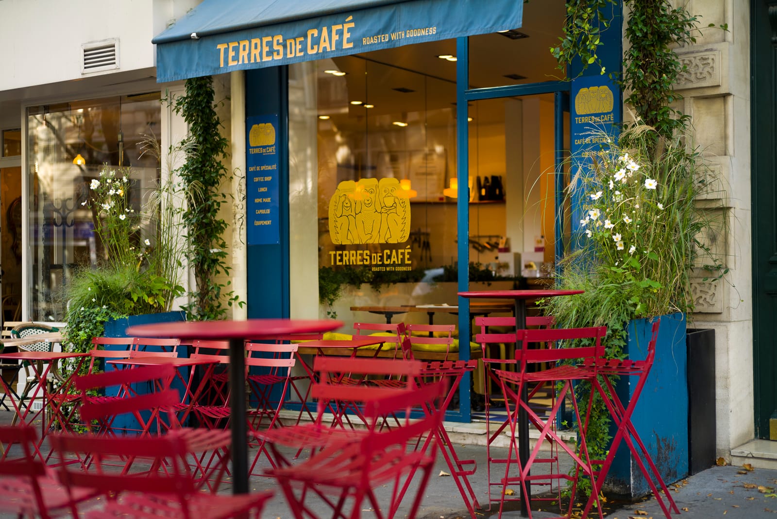 Terres de Café photo 7