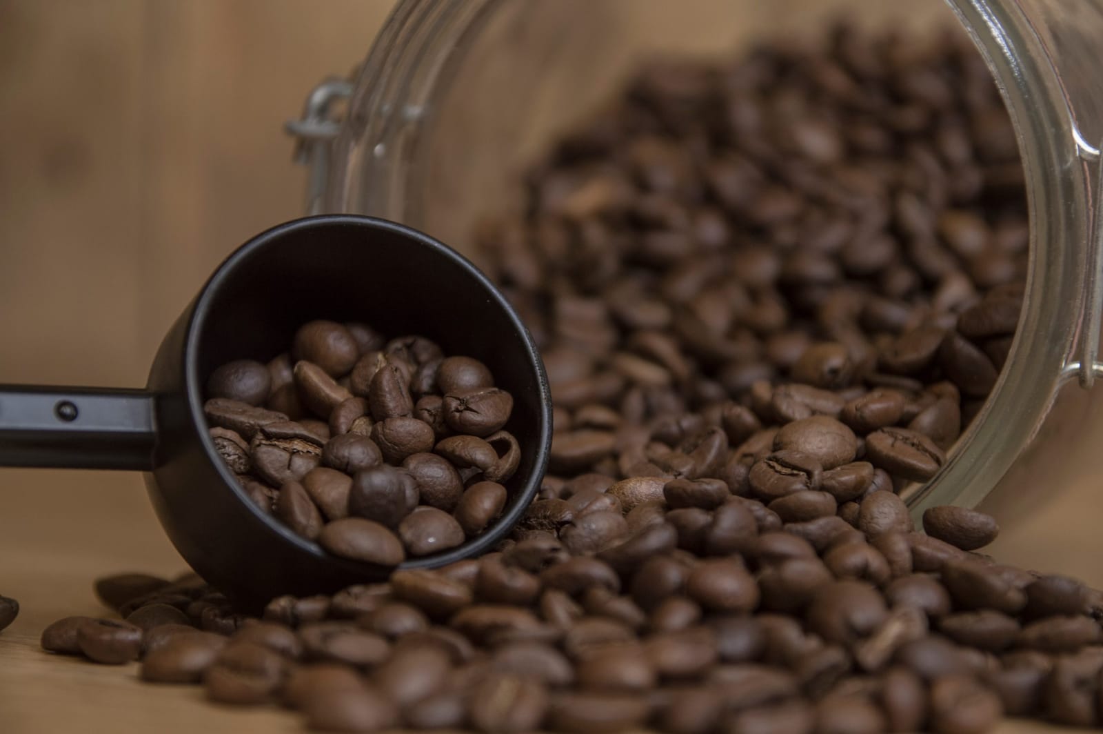 Wyvern Coffee Co. photo 2