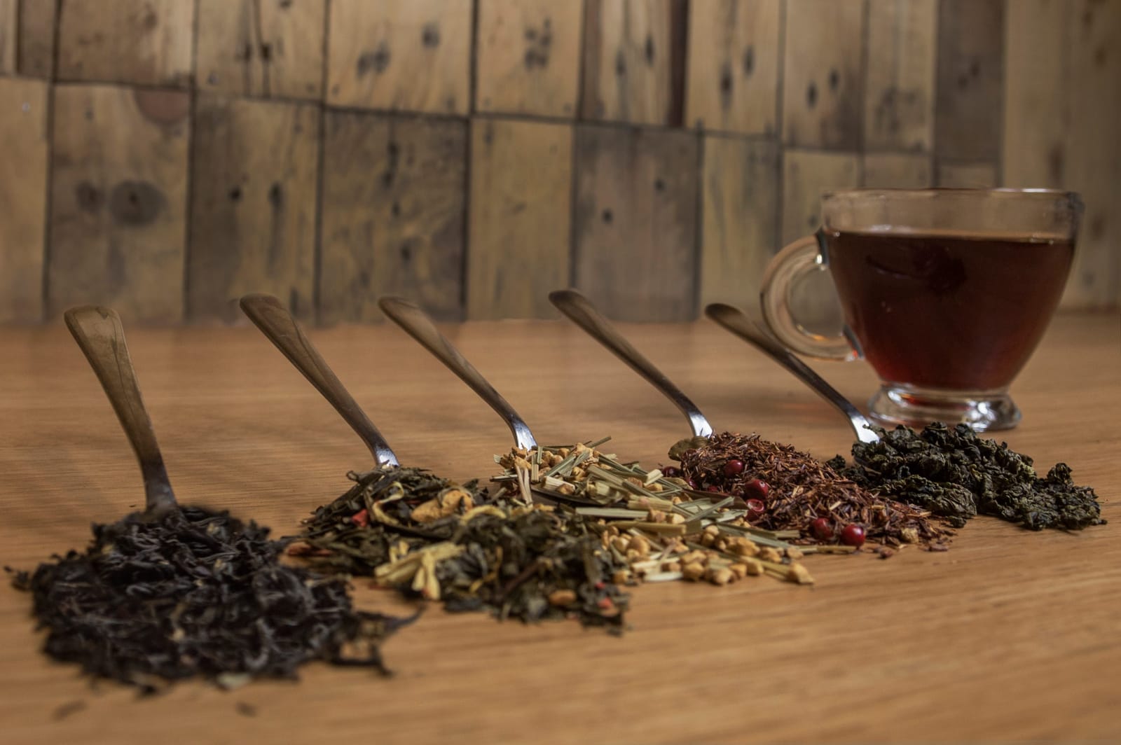 Wyvern Coffee Co. photo 3