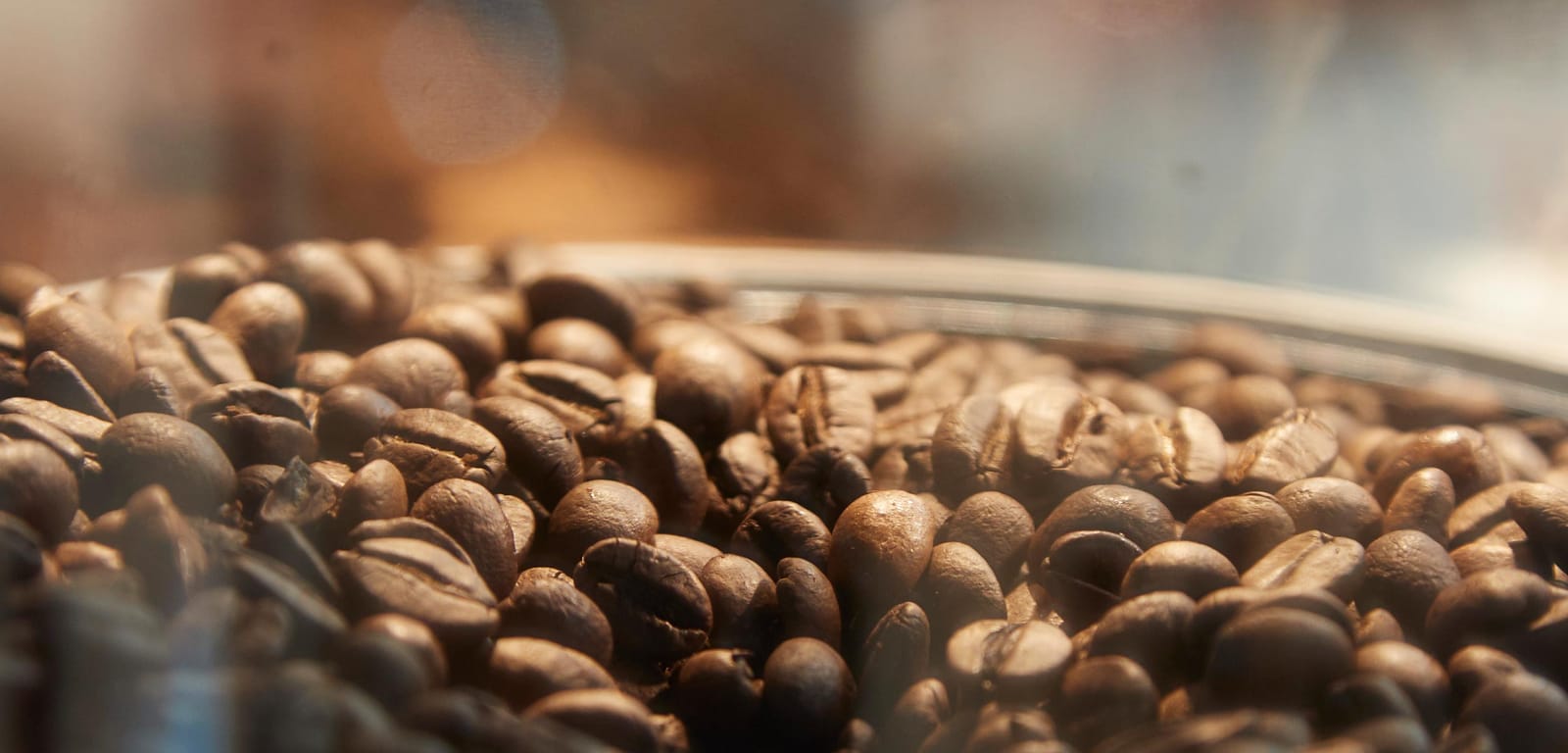 E Mundo Coffea photo 7