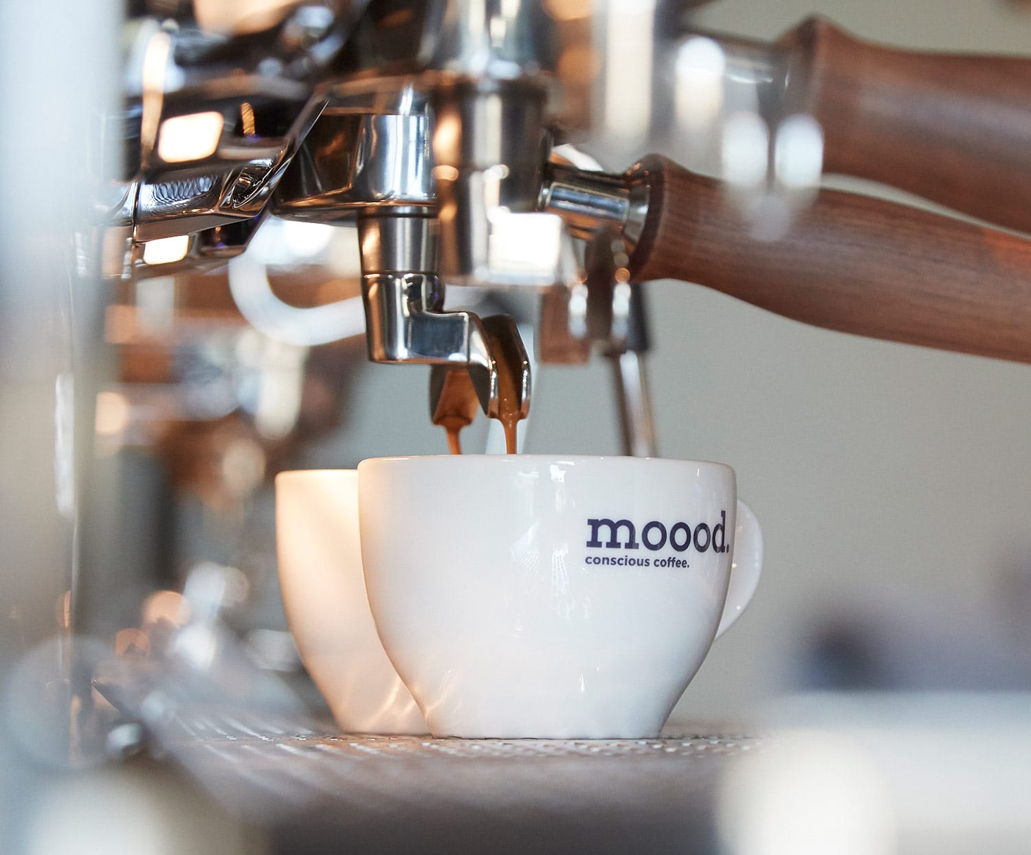 E Mundo Coffea photo 3
