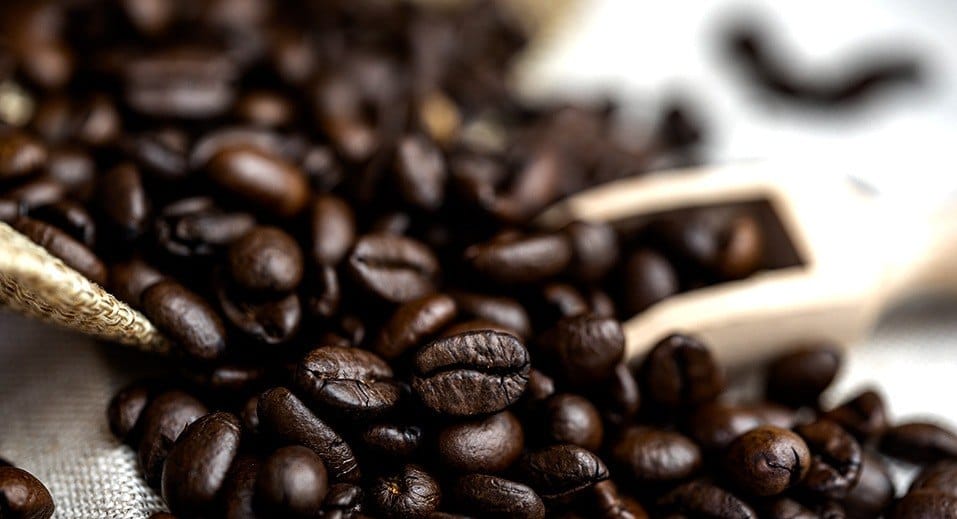 Espresso Company photo 3