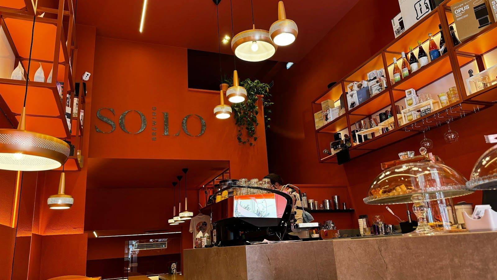 SoLo Brewing Coffee Lab