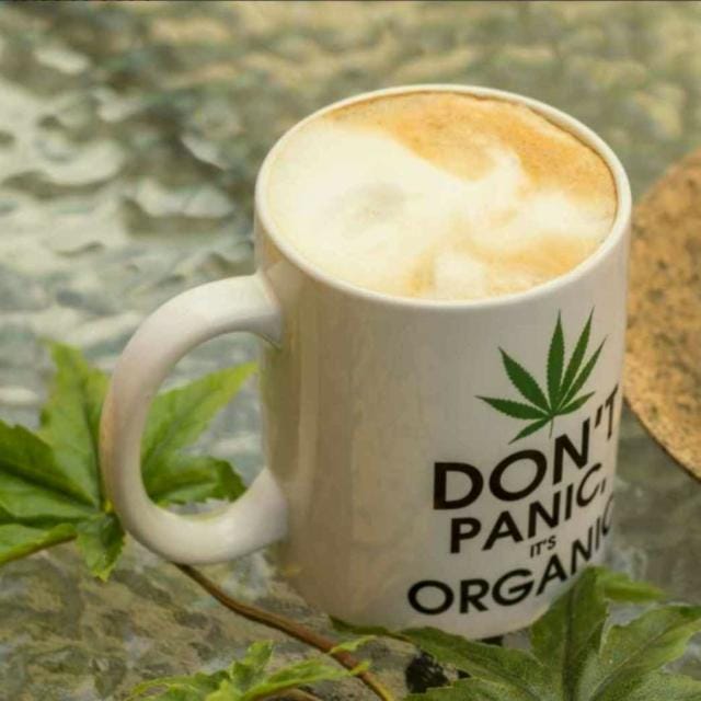 Львівські Коноплі Hemp Heaven photo 3