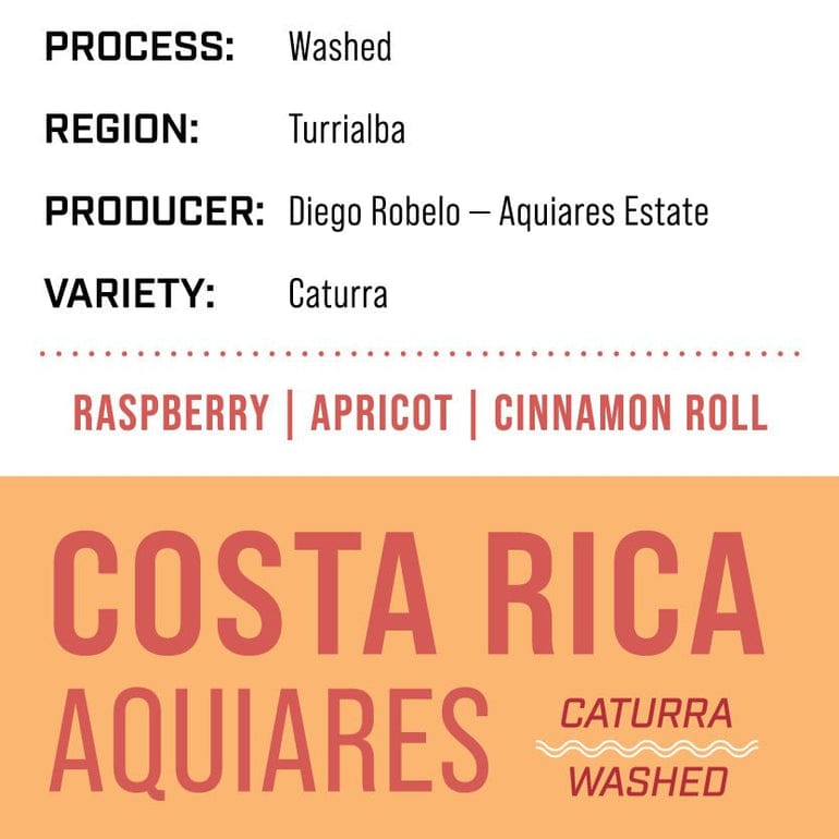 Dessert Oasis Coffee Roasters photo 2