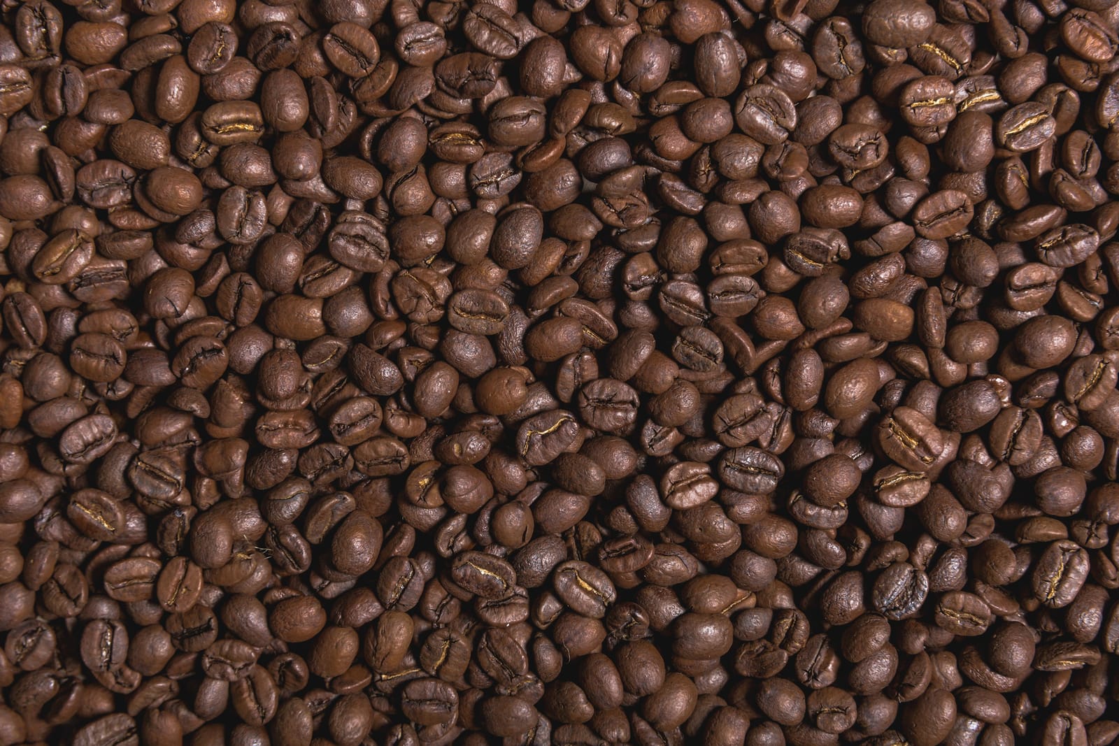 Pulp Coffee Roasters photo 9