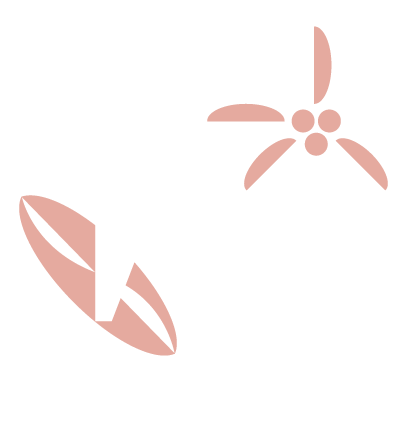 White Dog Coffee photo 3