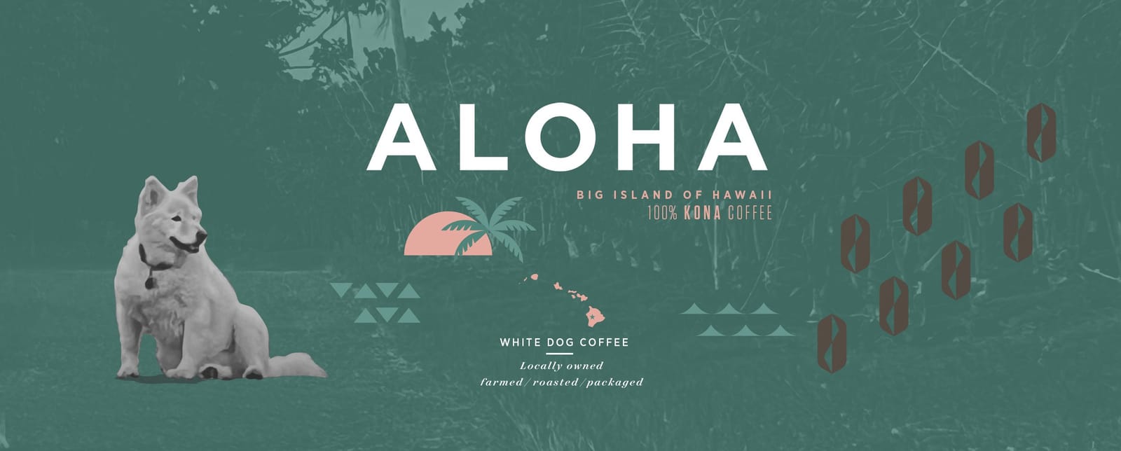 White Dog Coffee photo 4