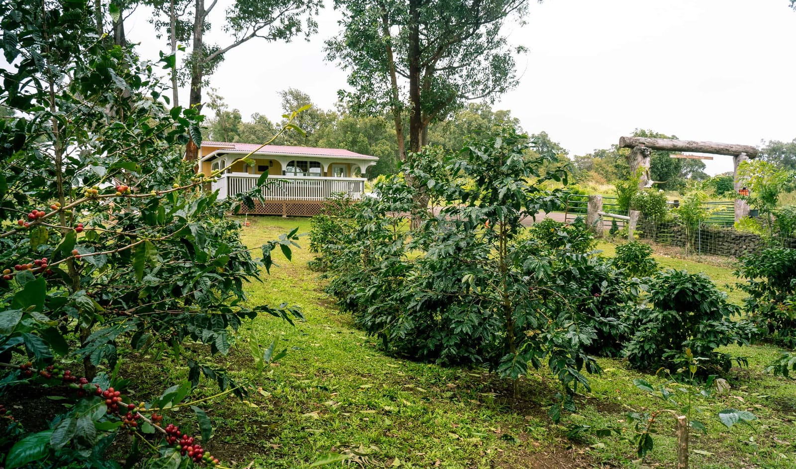 Miranda's Farms Cafe photo 6