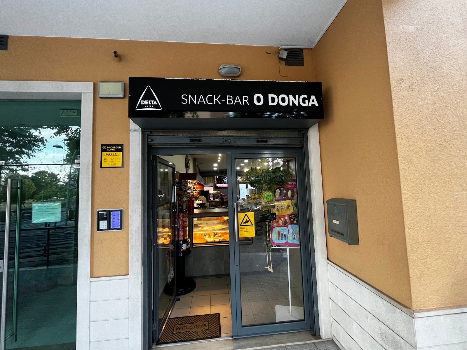 O Donga