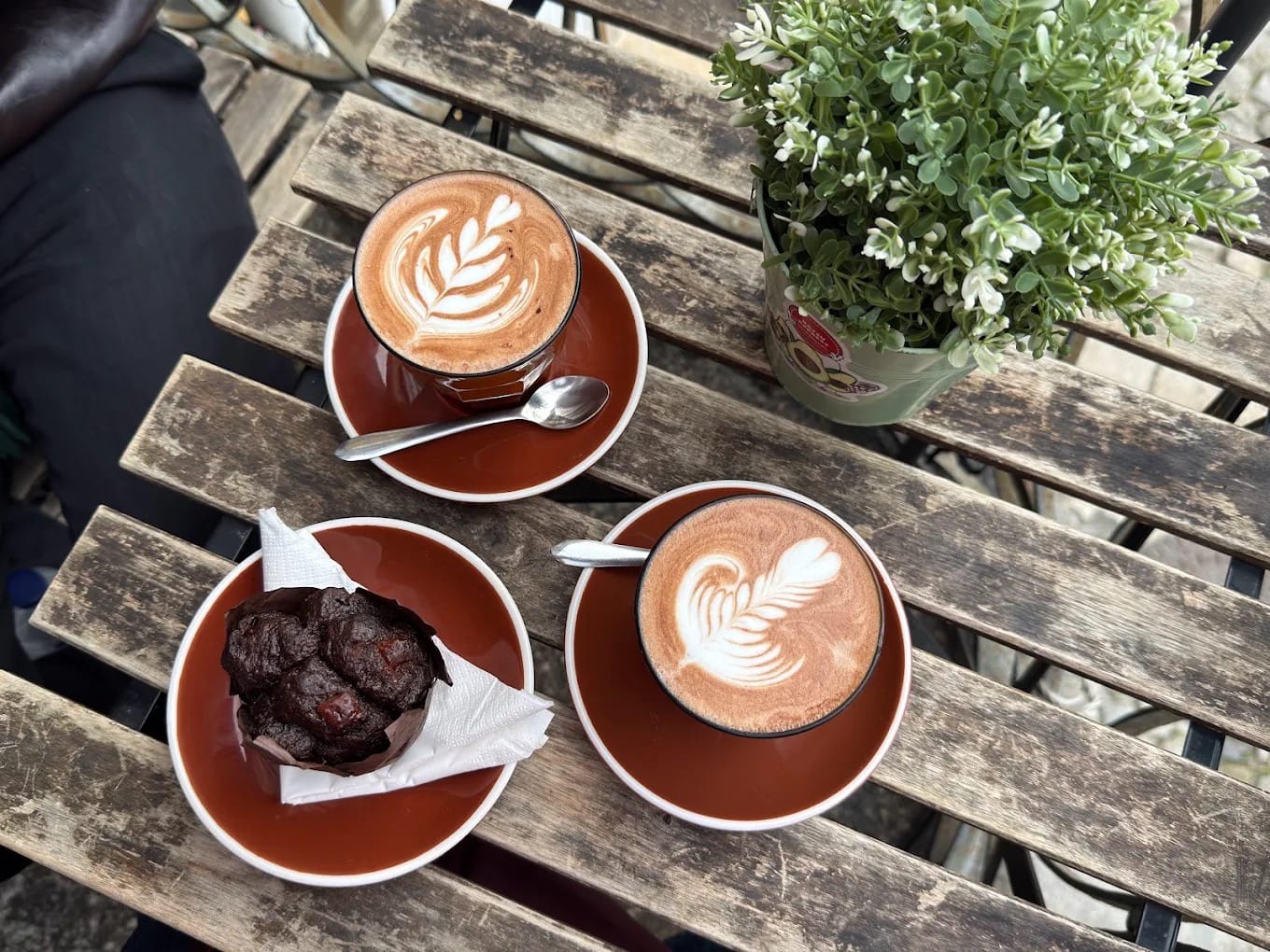 My Coffee Porto - Santa Catarina (Specialty Coffee Shop) photo 4