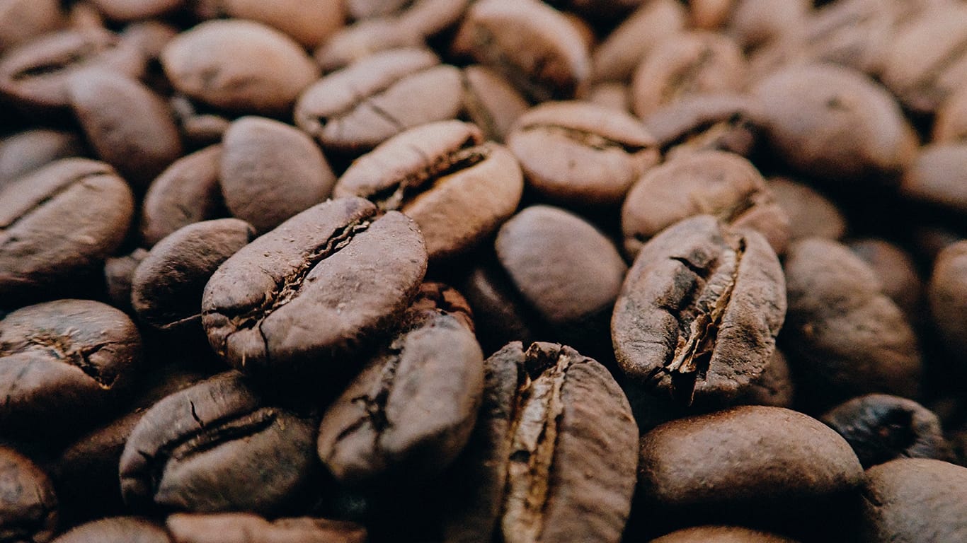 Brewsmith Coffee Roasters photo 2
