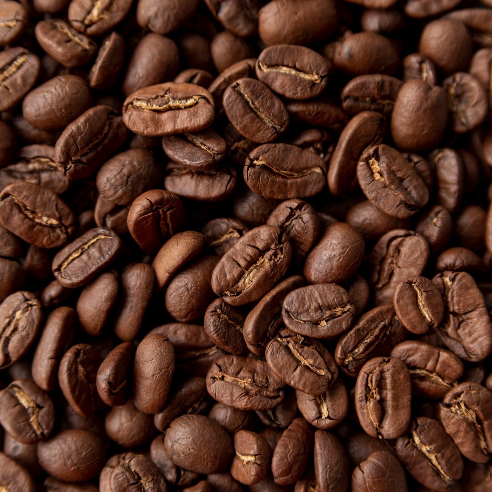 Beans Depot Roastery photo 3