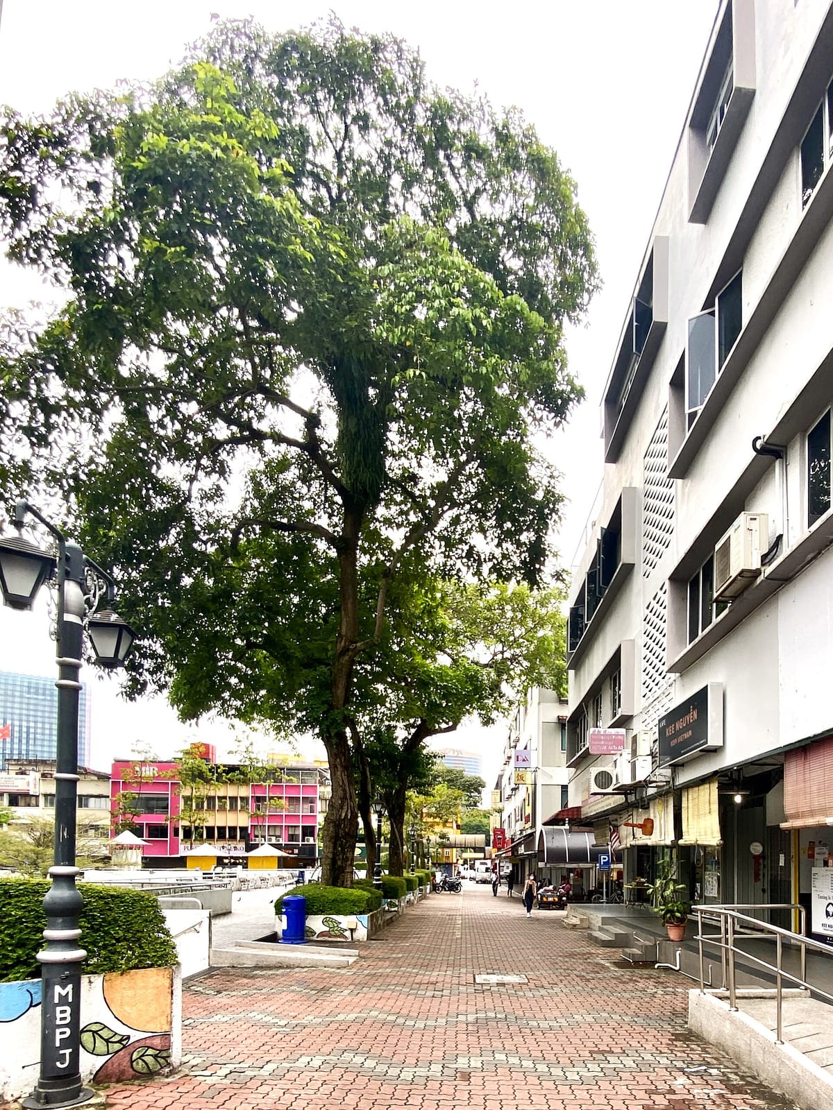 ZUS Coffee - PJ New Town photo 3