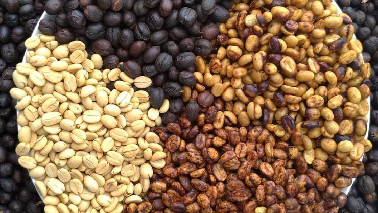 Cafetzal Coffee Roasters & Lab