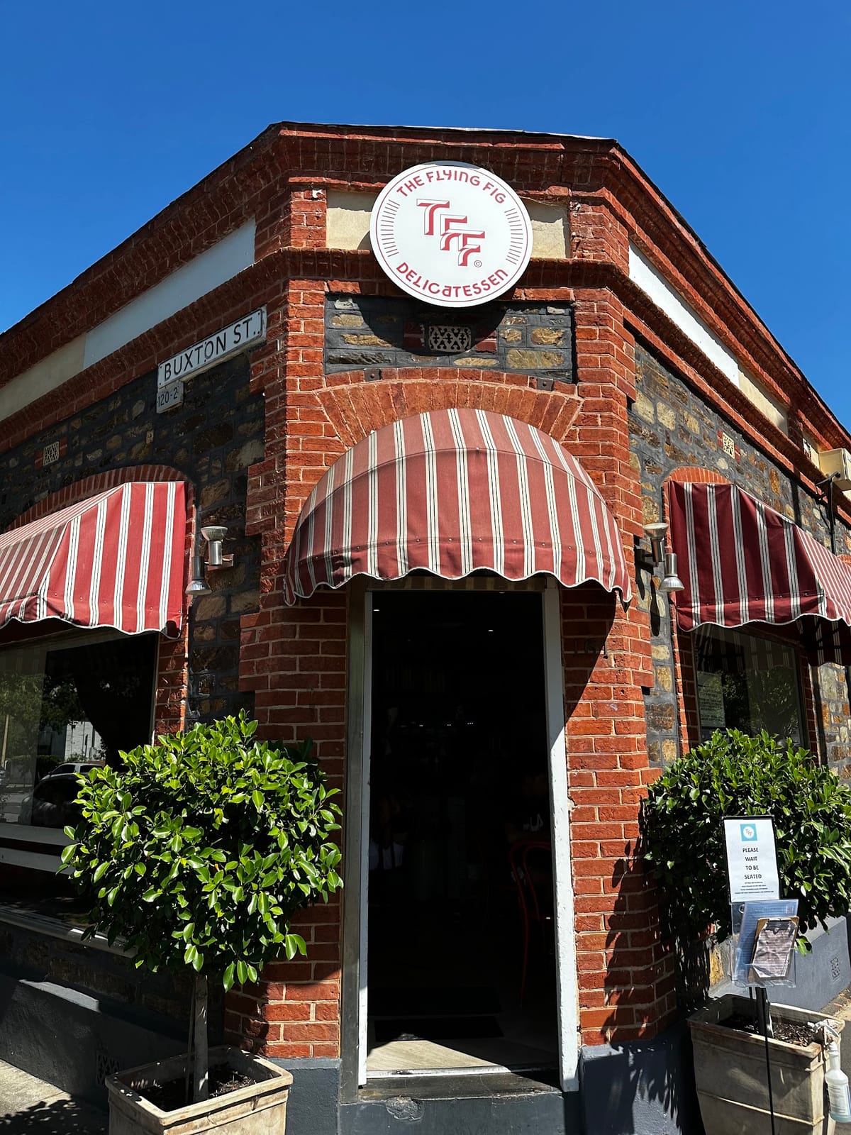 The Flying Fig