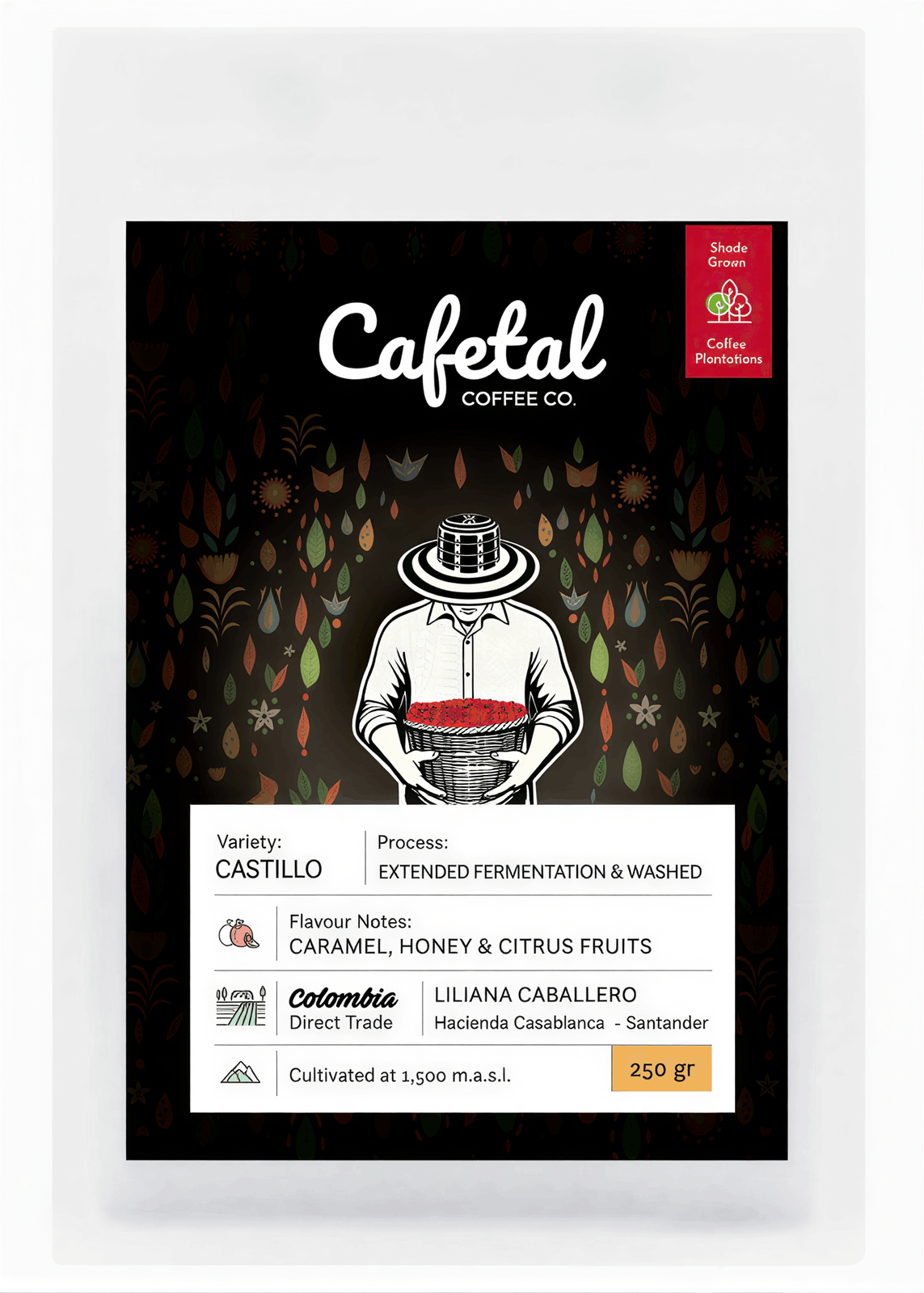 Cafetal Coffee Co. photo 7