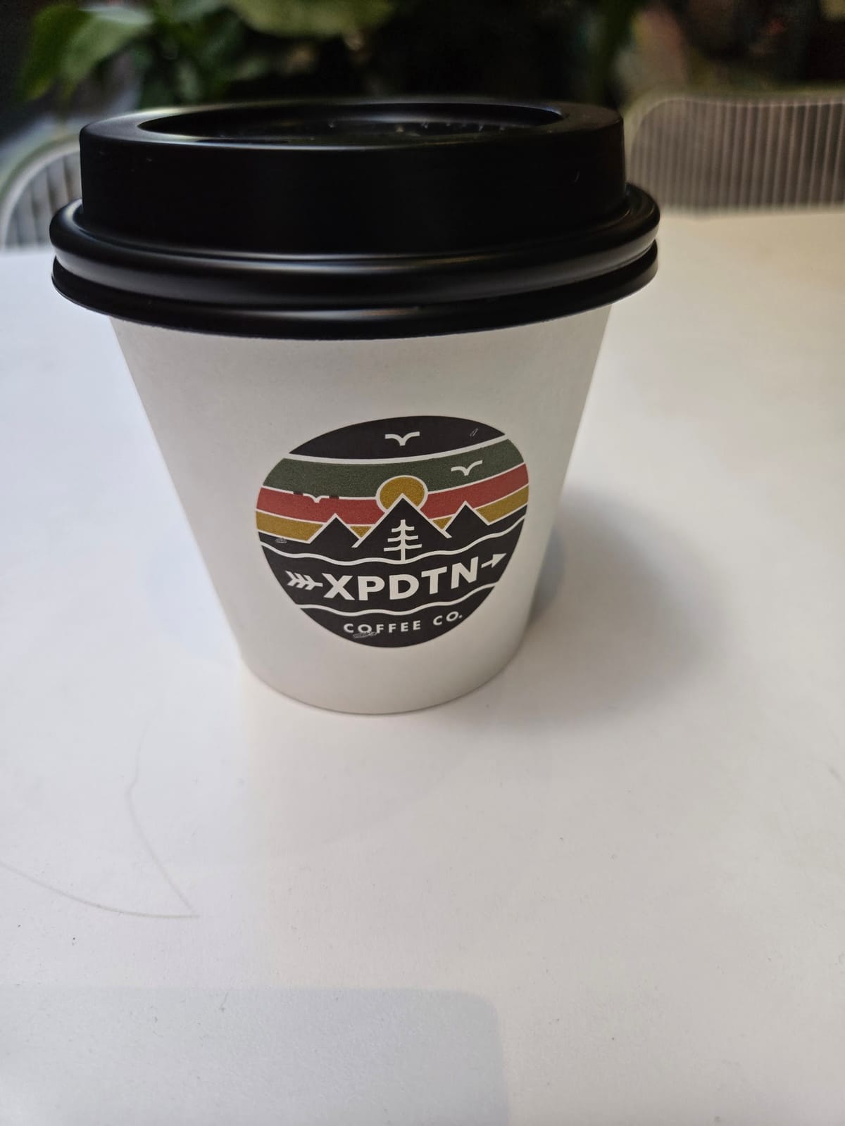 Expedition Coffee - Albert street