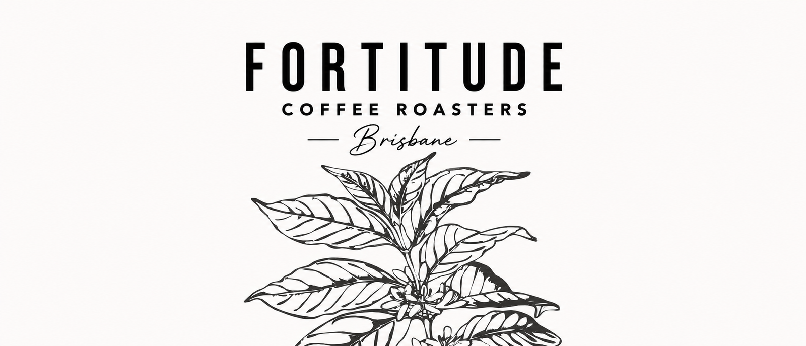 Fortitude Coffee Roasters photo 2
