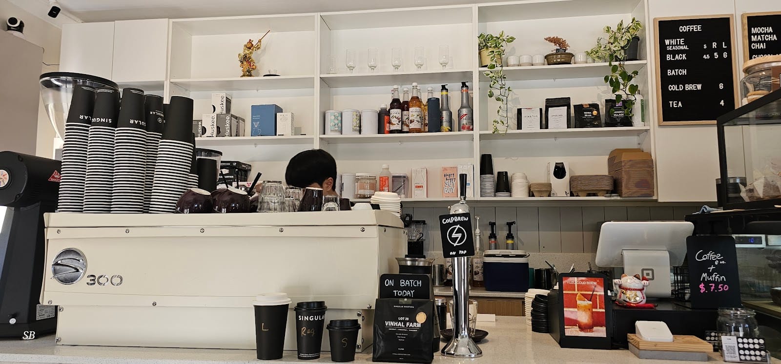 Singular Coffee Northbridge
