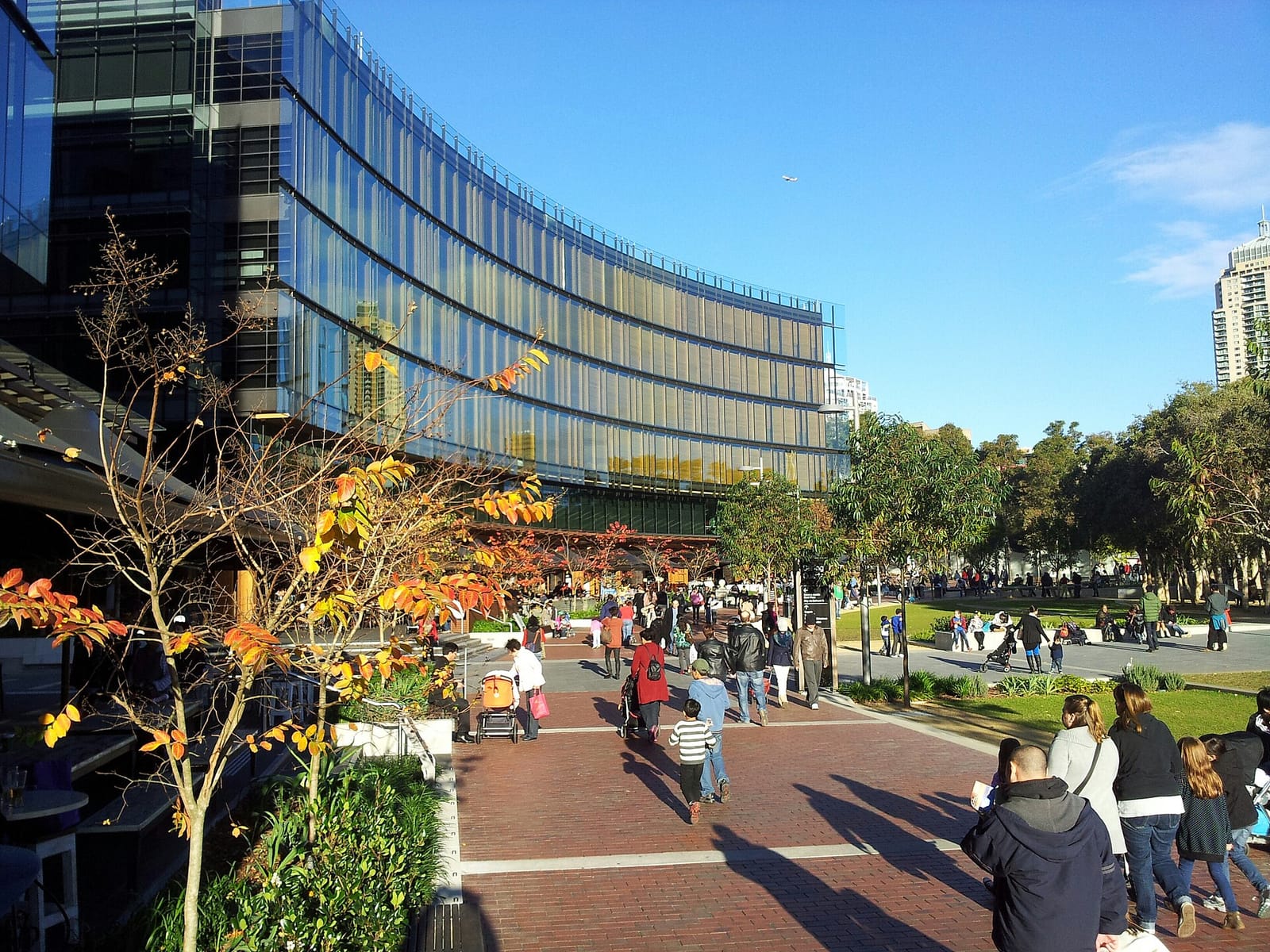 Haven Coffee - Darling Quarter photo 4