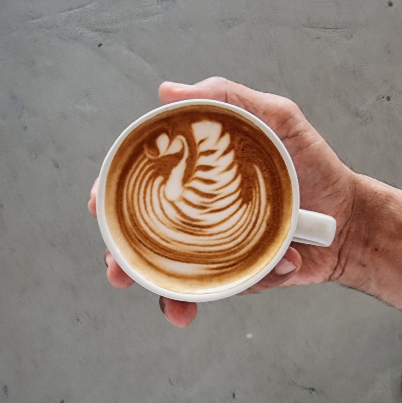 Enjoy.Roastery photo 2