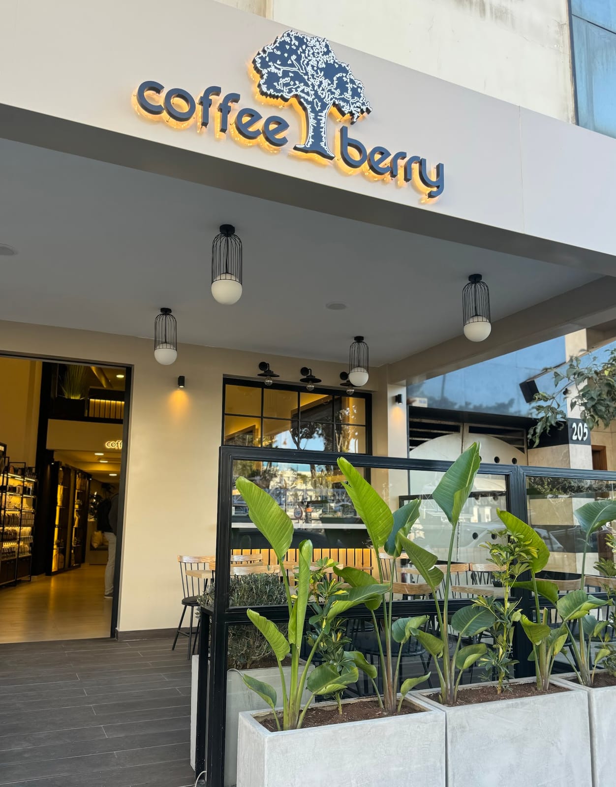 Coffee Berry