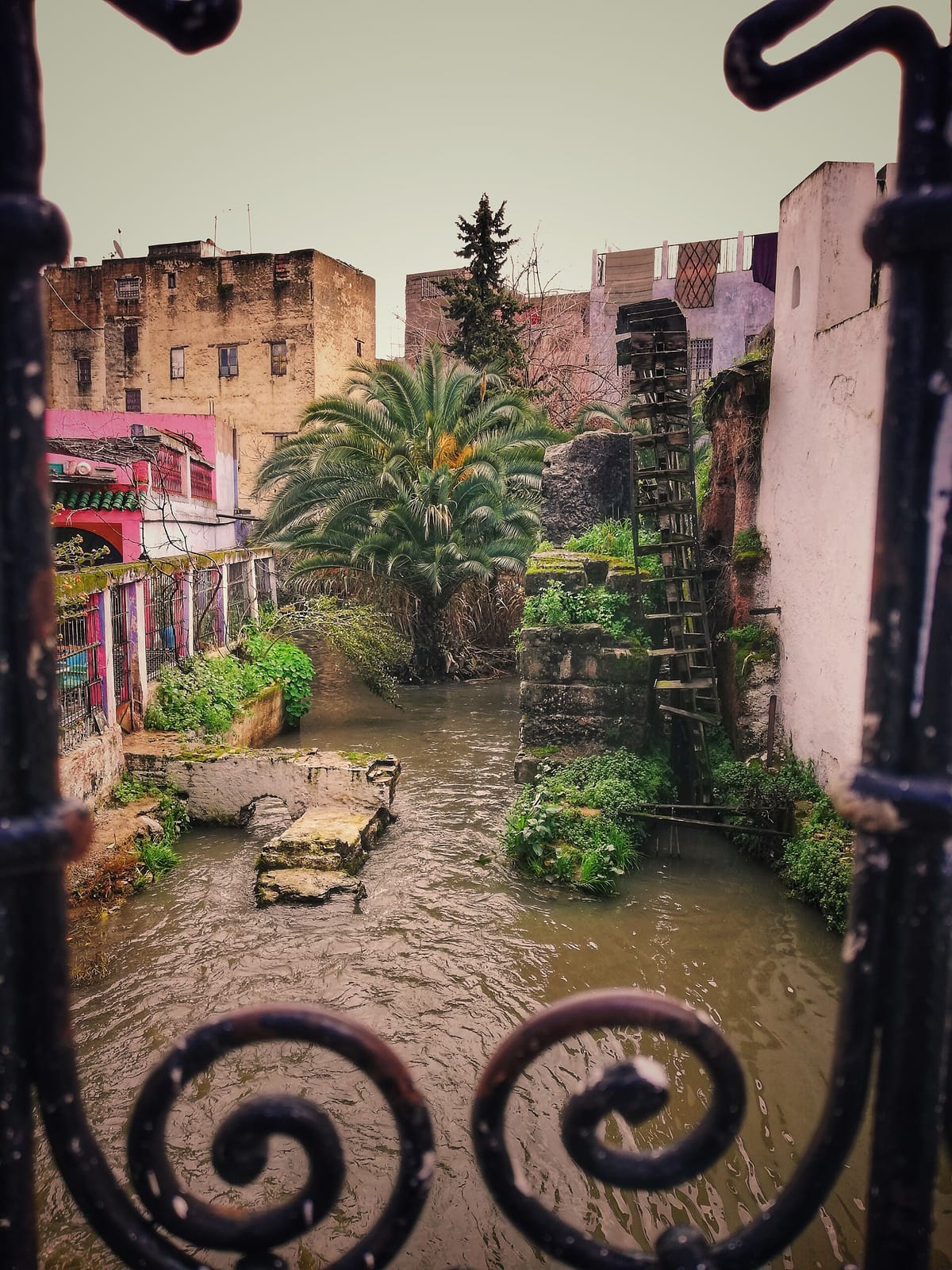 Café Shop Alaoui photo 2