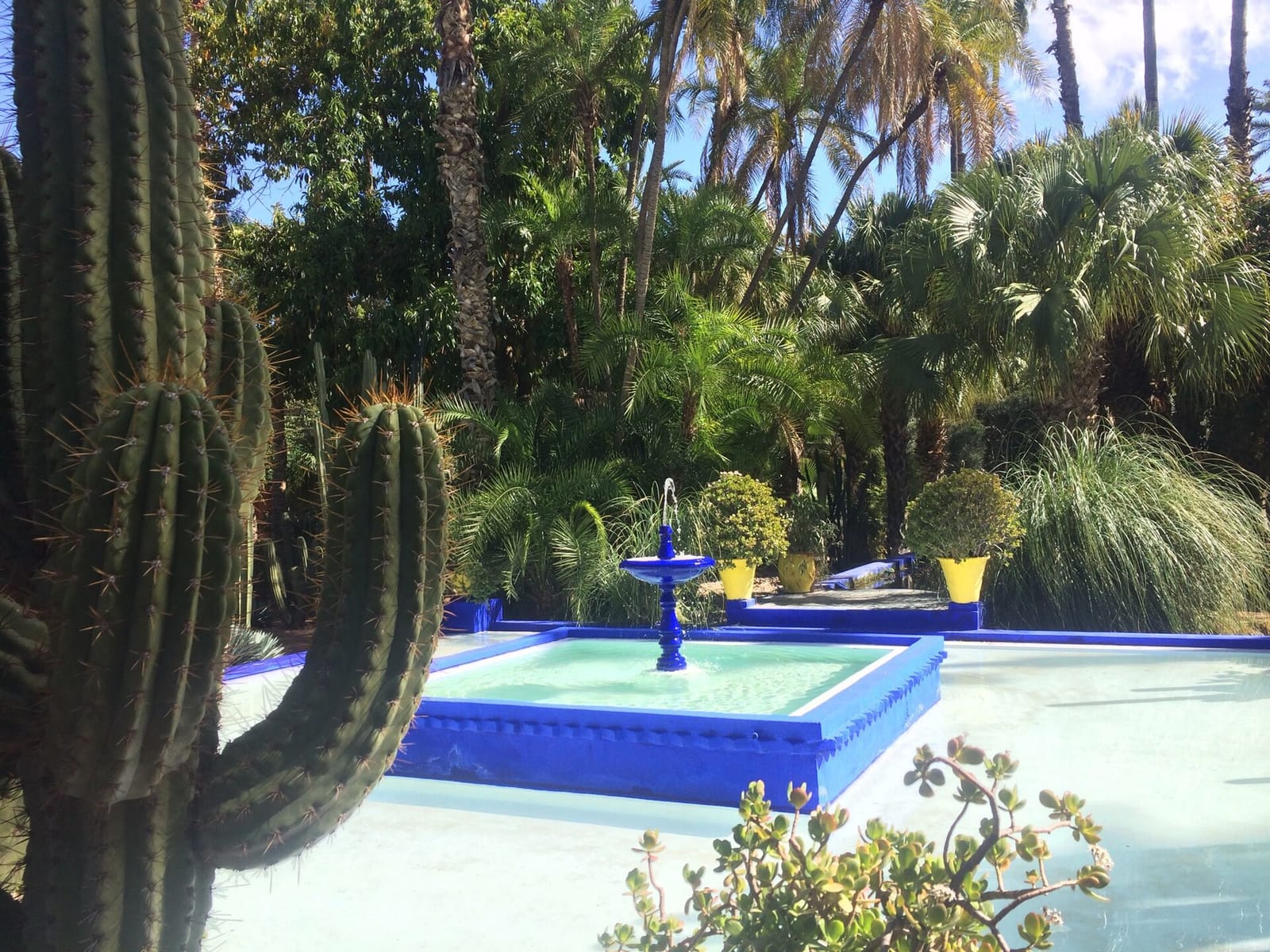 Café Majorelle photo 5