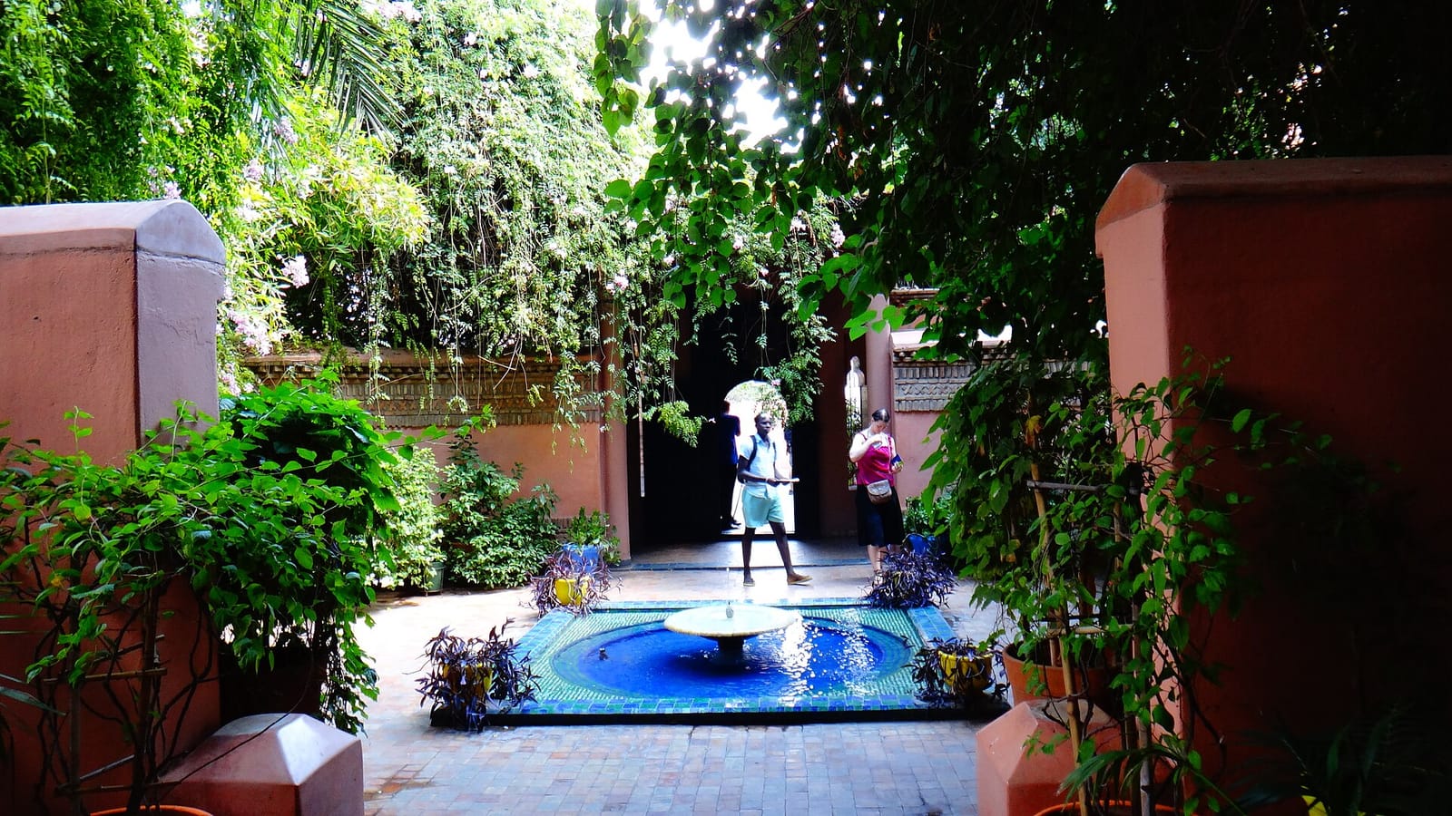 Café Majorelle photo 3
