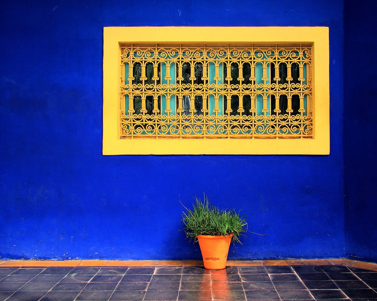 Café Majorelle photo 4