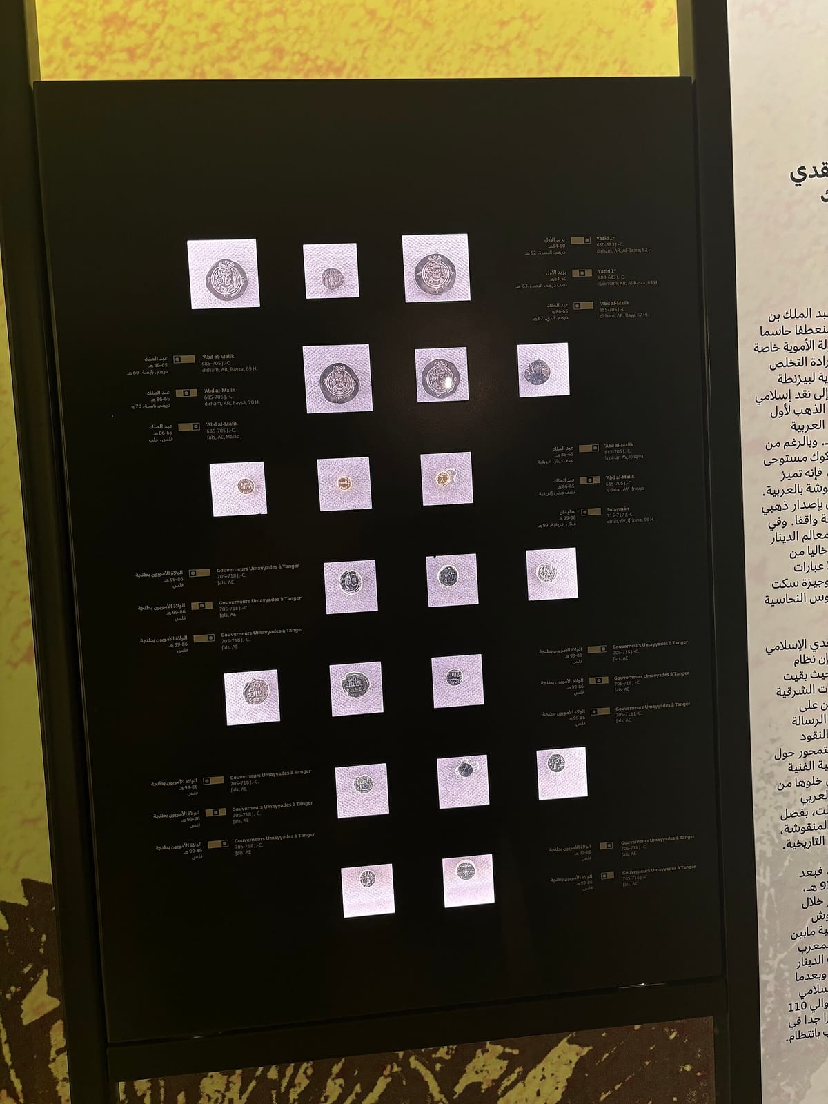 Café Libera قهوة ليبيريا photo 4
