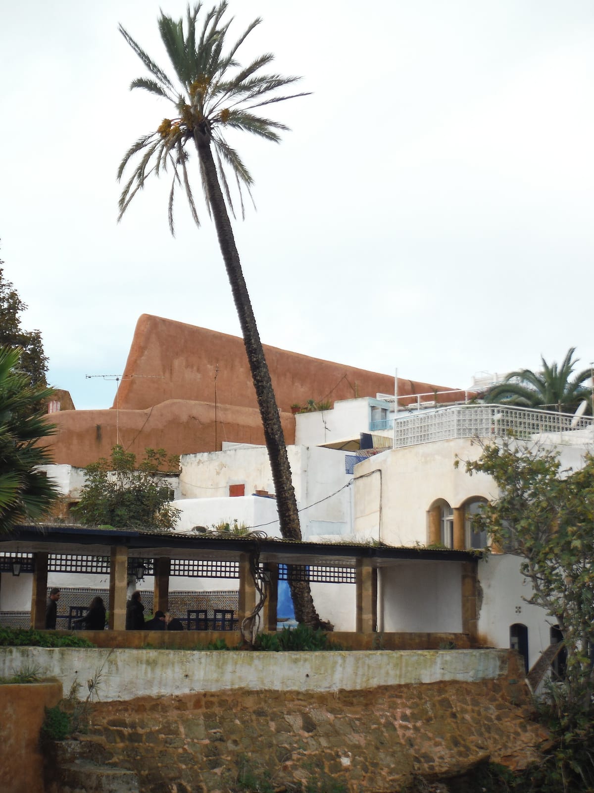 Cafe Oudaya m photo 4
