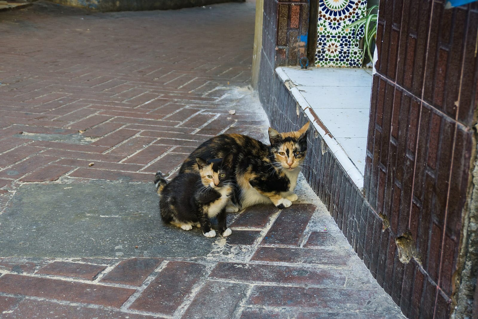 Tanger Moments Cultural Café photo 3